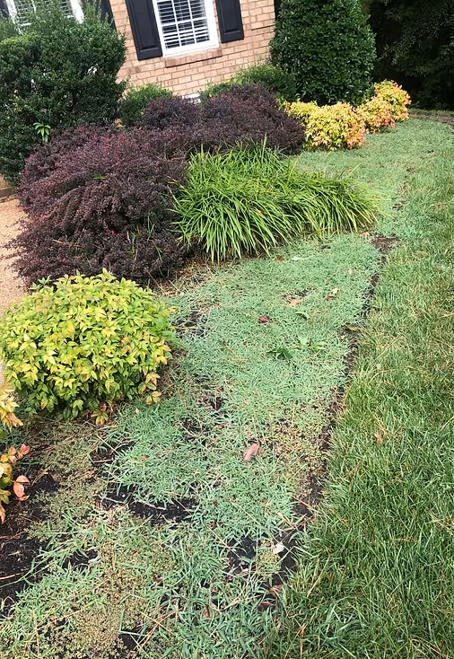 Flower Bed Maintenance — Montgomery Landscape, Richmond VA