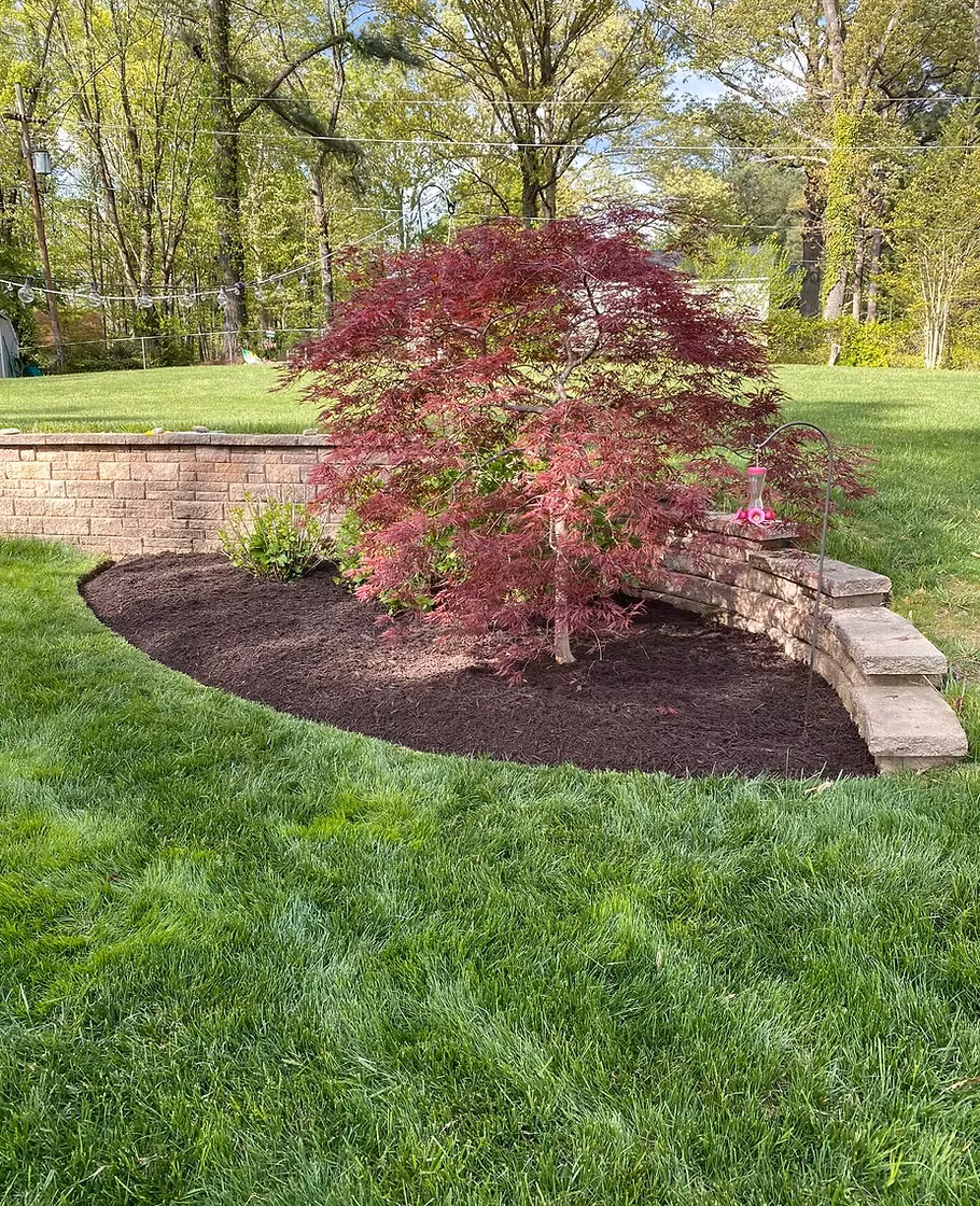 Plants, Shrubs & Trees — Montgomery Landscape, Richmond VA