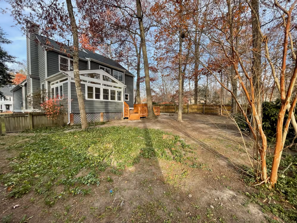 The same back yard with the leaves fully removed