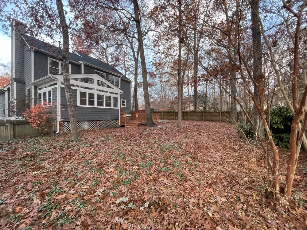 Back yard completely covered in fallen autumn leaves