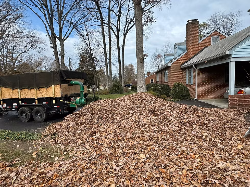 Leaf Cleanup — Montgomery Landscape, Richmond VA